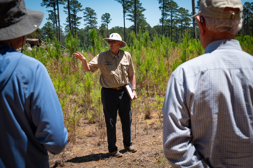 A person standing in front of a stand of pines gestures toward the crowd.