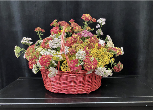 A red handled wicker basket filled with yarrow flowers in shades of red, pink, yellow, and cream.