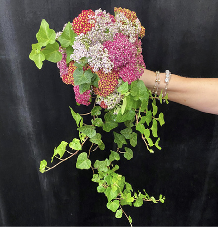 Hand holding a bouquet of assorted yarrow flowers in multiple colors with cascading ivy.