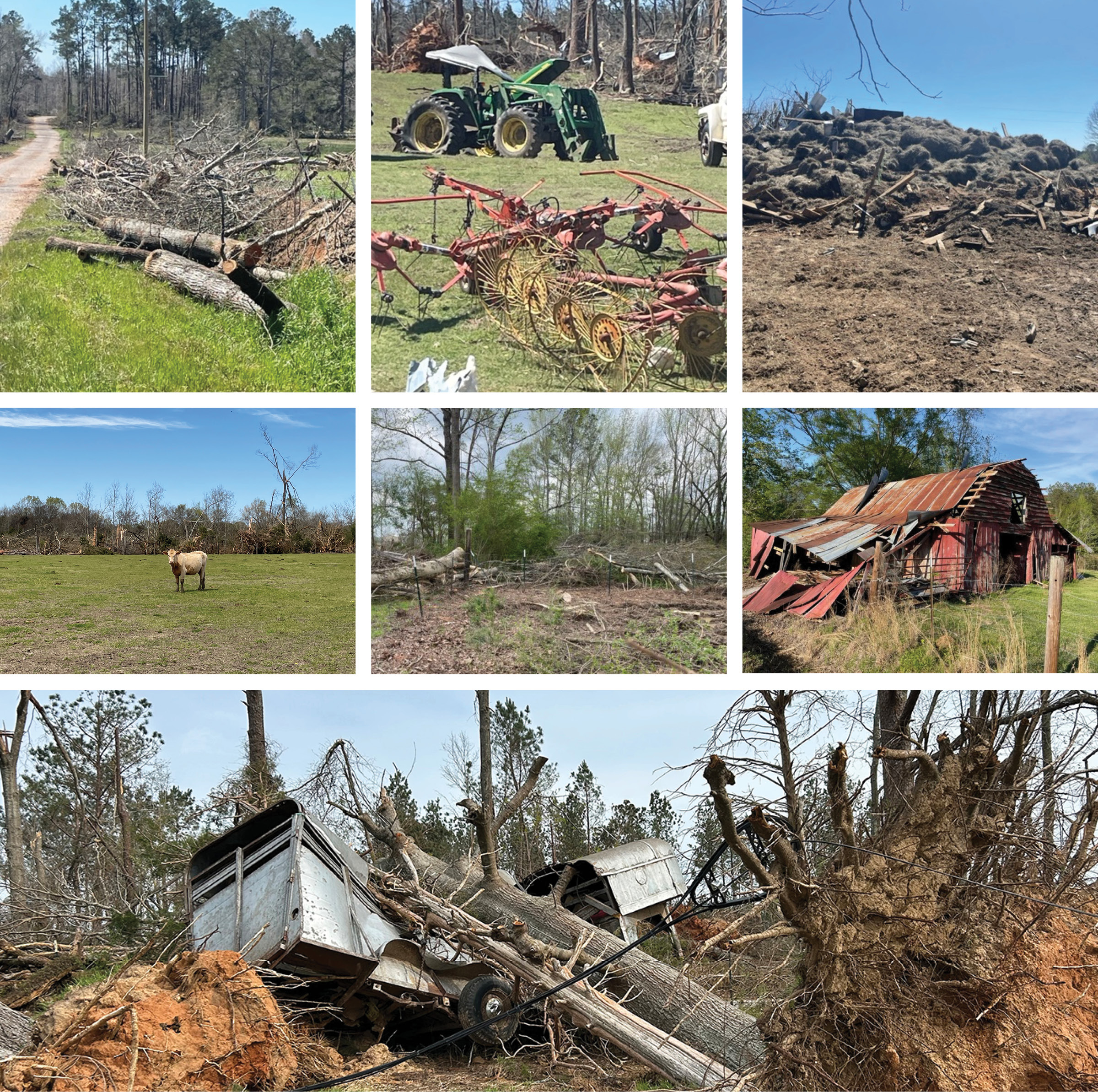 Seven photos showing tornado damage, including downed trees, mangled equipment, piles of debris, and damaged buildings.