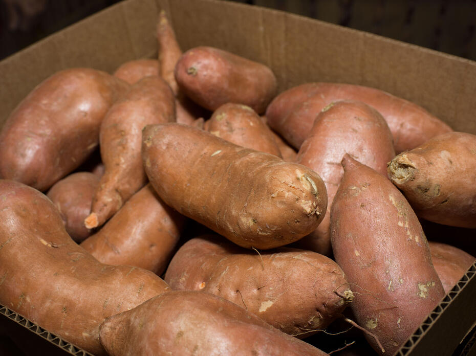 Multiple sweet potatoes in a box.