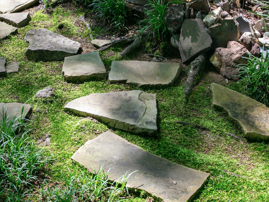A bright green moss pathway with large pavers.