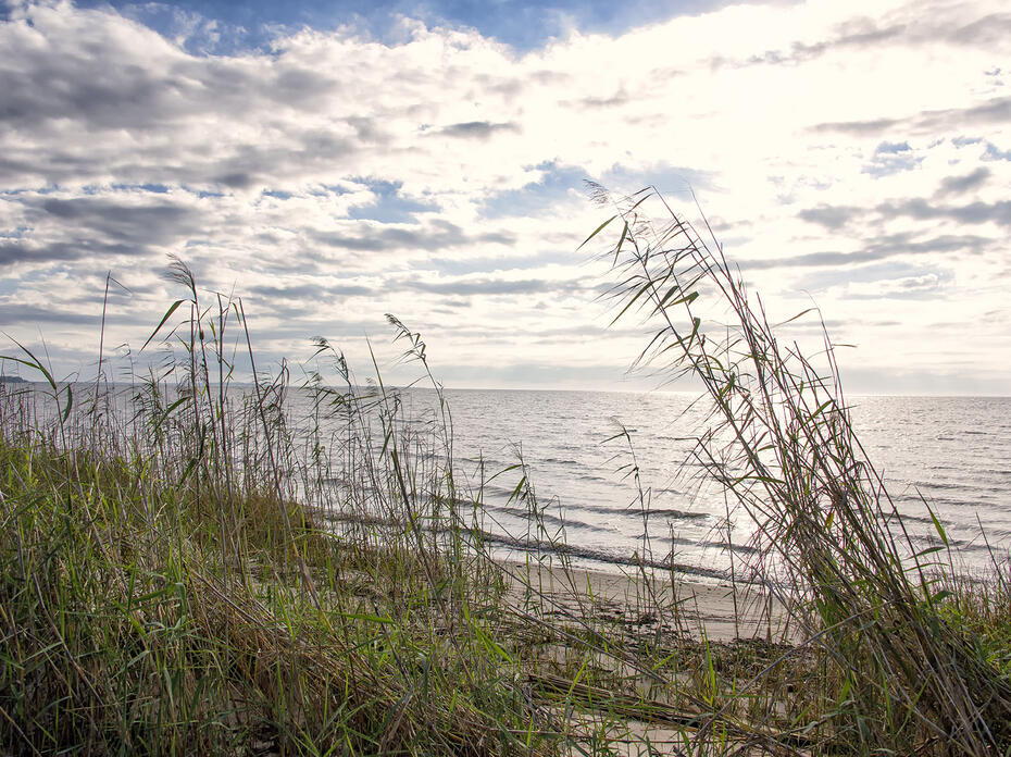 Dunes with grass appear in the foreground with the sun shining on the blue waters of the Mississippi Sound at Graveline Bayou in Jackson County.  