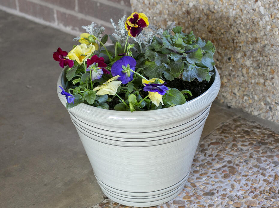 Colorful flowers planted in a white pot. 