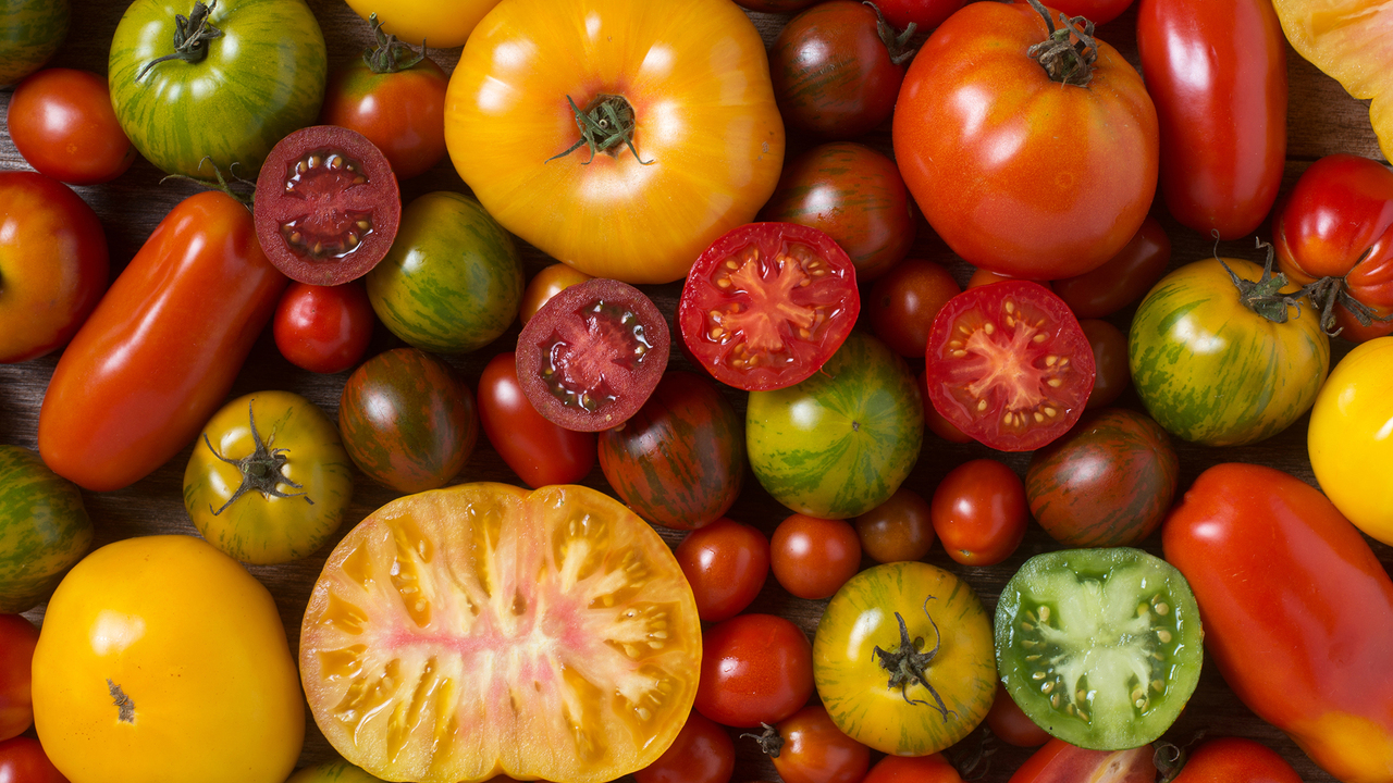 Close-up of colorful tomatoes, some sliced, shot from above