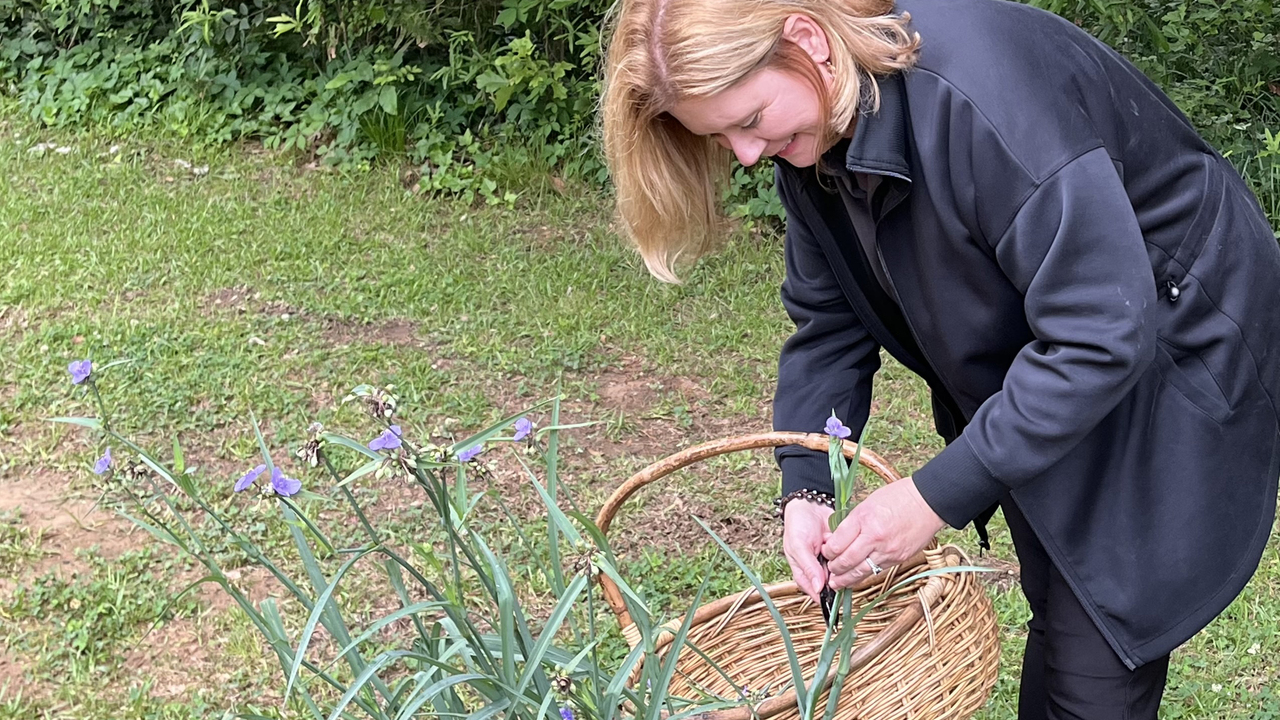 A person holds a basket and handles grassy plants with purple flowers.