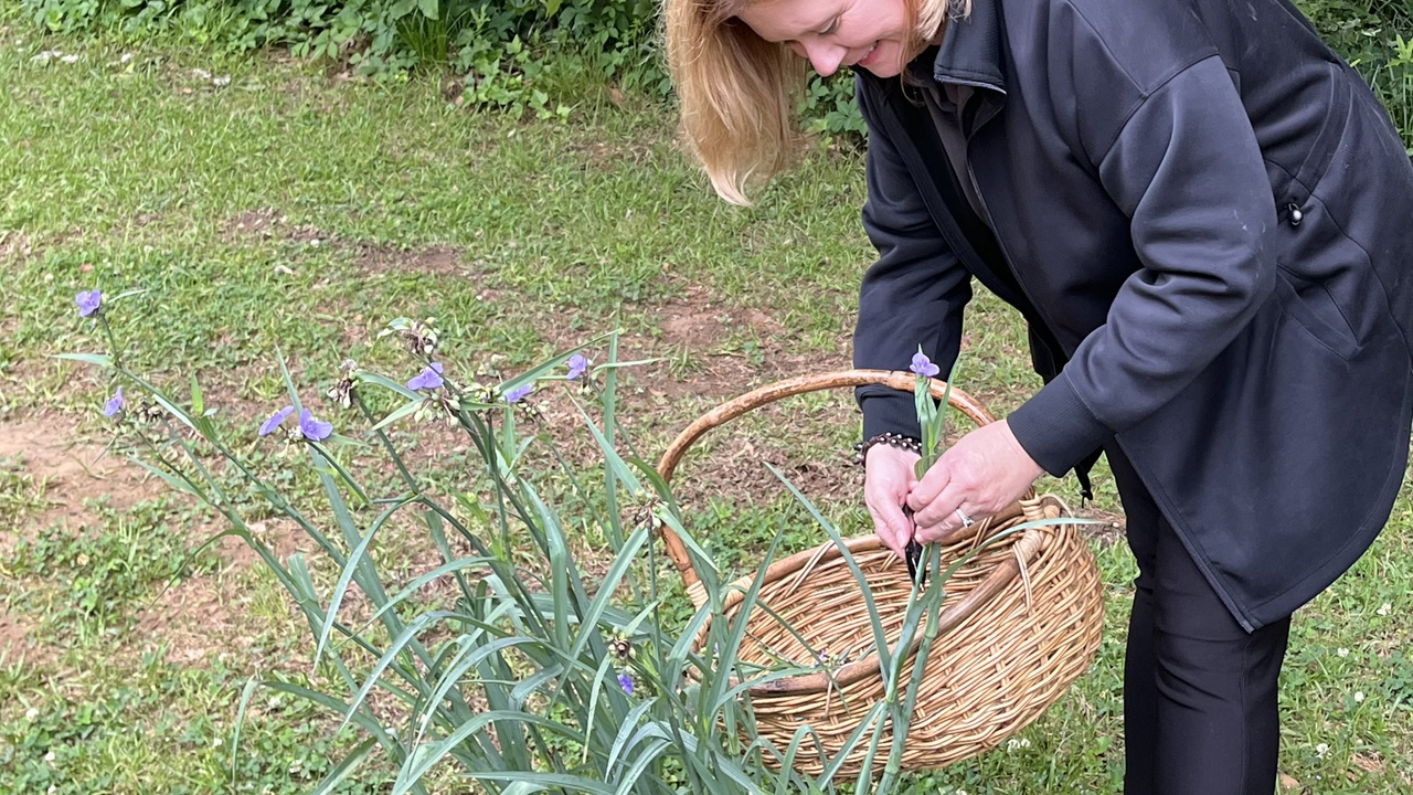 A person holds a basket and handles grassy plants with purple flowers.