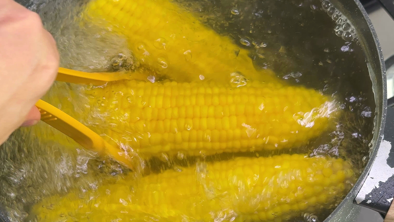 Corn being boiled in a pot