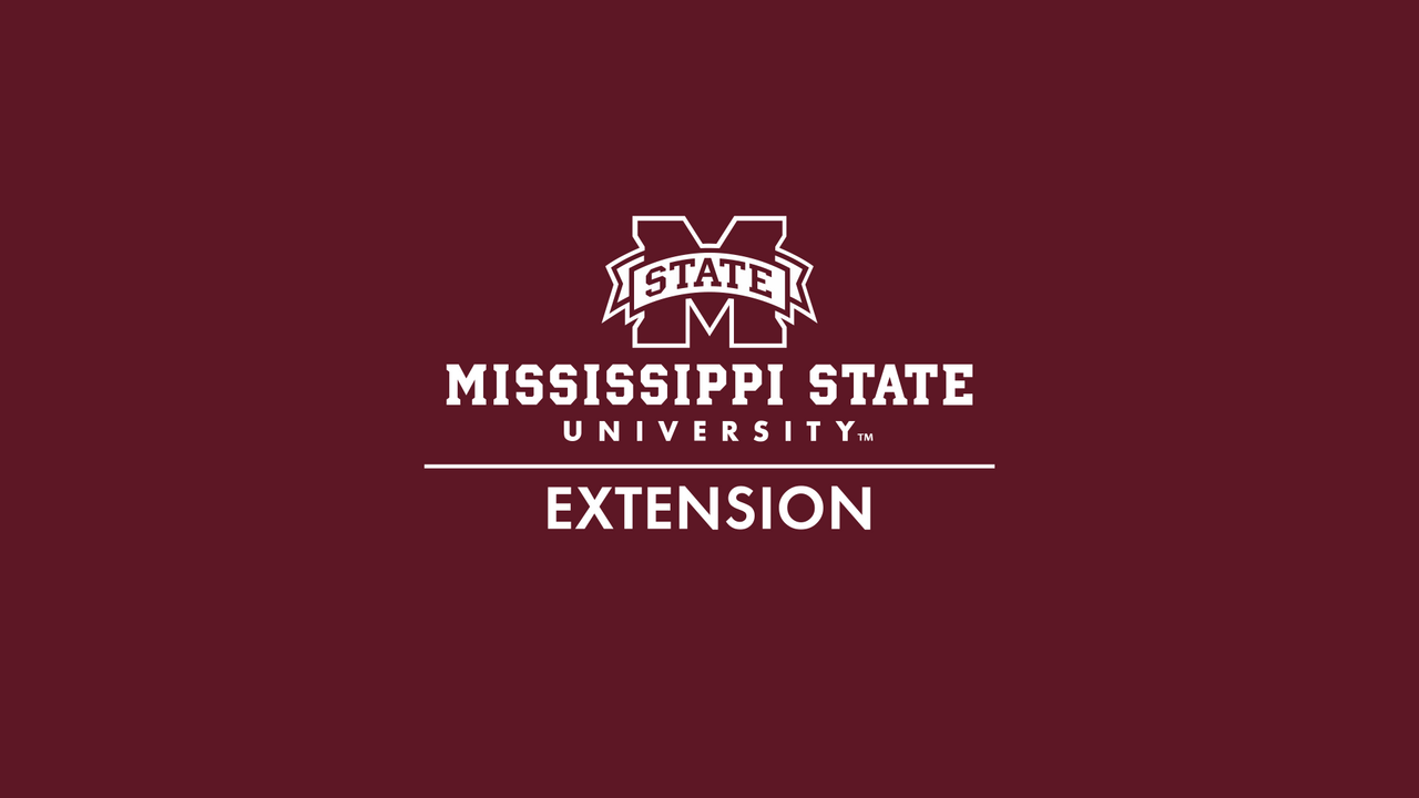 MSU Extension logo