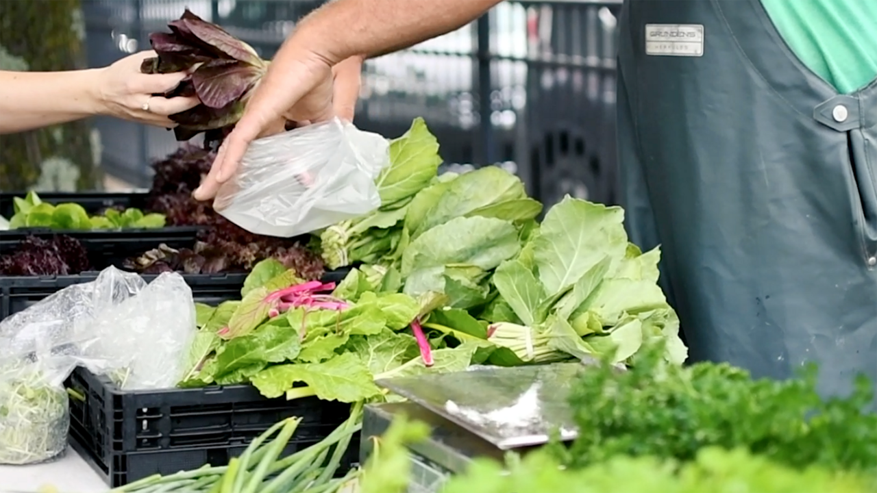 A farmers market vendor holds a bag for a customer shopping for fresh salad greens. 