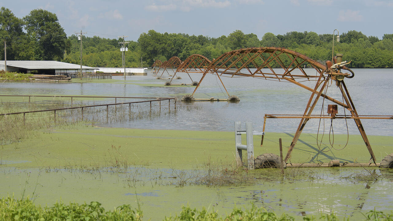 A pivot irrigation system stands in algae-covered water in a flooded field with farm buildings in the distance.