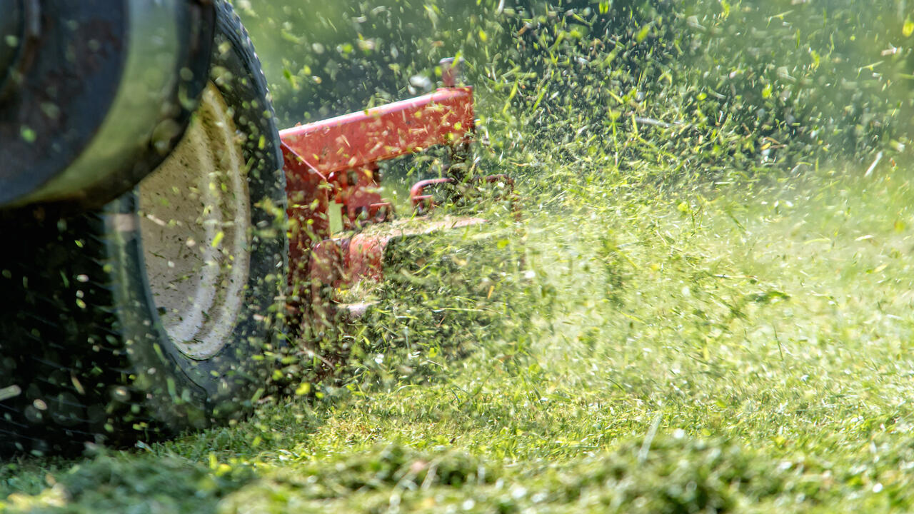 Close up shot of a lawn mower cutting grass