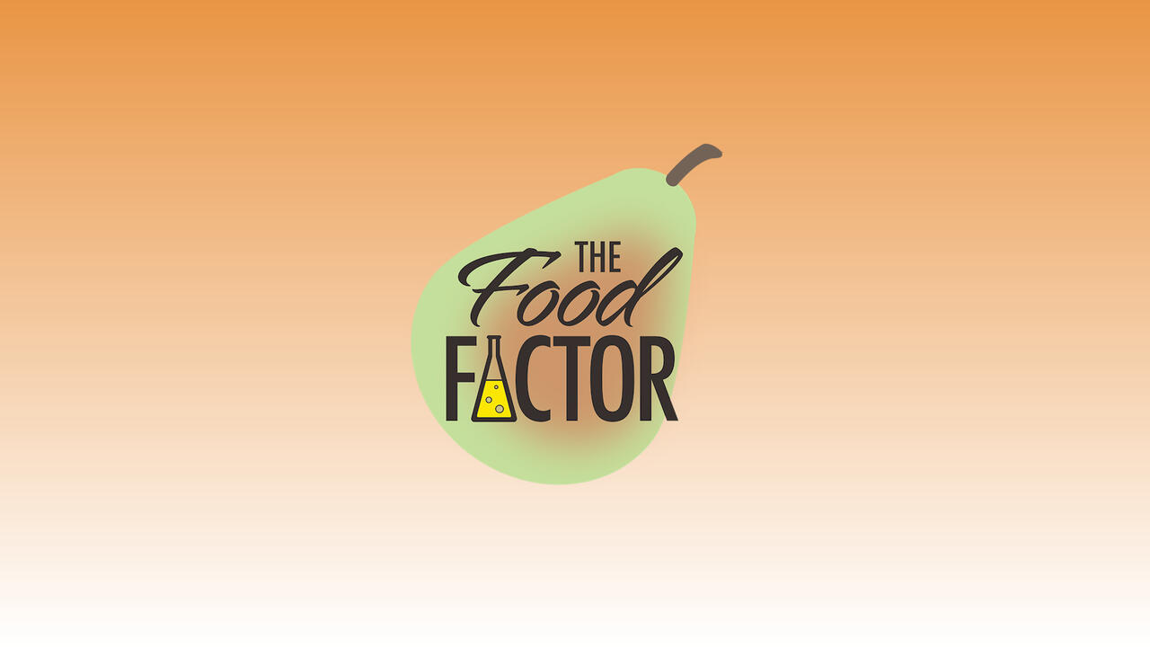 The Food Factor Logo
