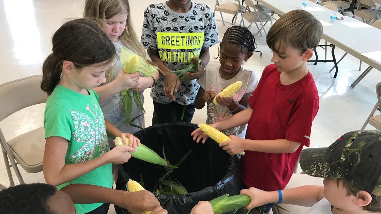 Children stand around a large garbage can while they shuck the husks and silks from ears of corn. 