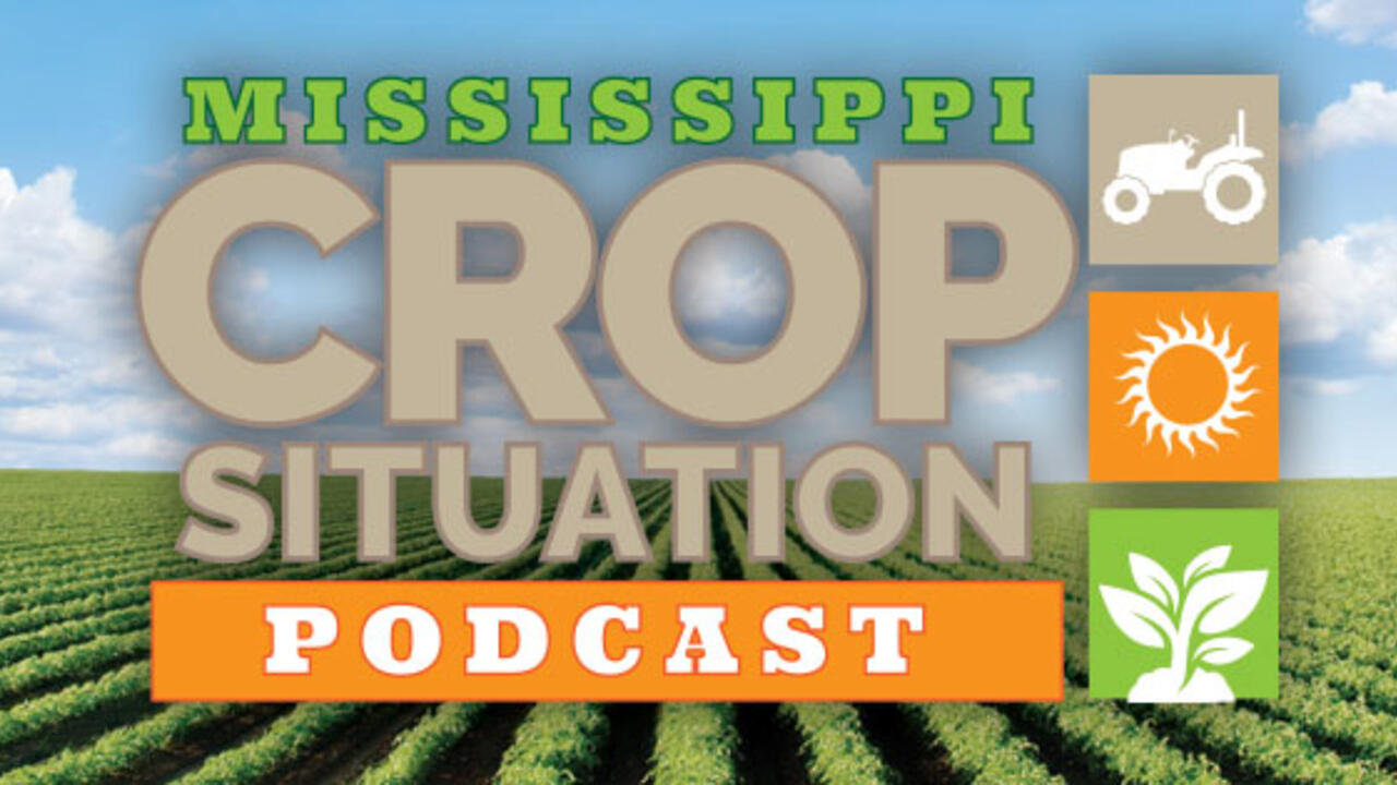 A logo that represents the Mississippi Crop Situation Podcast. The logo contains graphics that represent a tractor, the sun and a plant. 