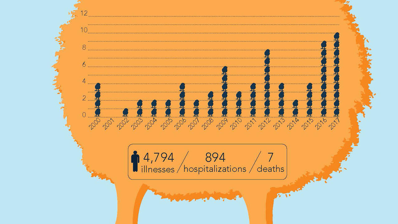An illustration depicts a large yellow chick with a graph showing the number of Salmonella outbreaks since 2000 and includes text instructions to wash hands after handling backyard poultry. 