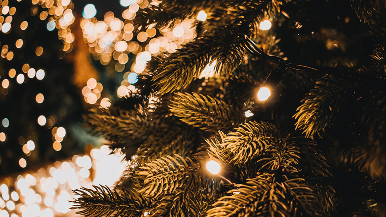 A Christmas tree decorated with white lights. 