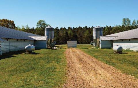 Water_Well_between_Poultry_Houses