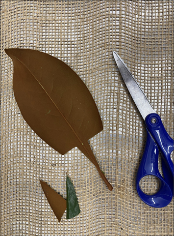 A leaf with notches cut into it and a pair of scissors.