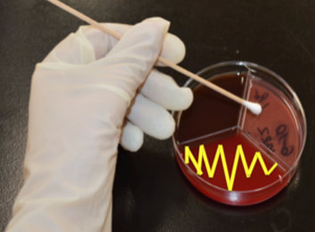 A gloved hand rubs a swab on one of the tri-plate sections.