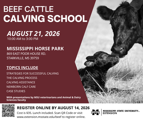Flyer describing cattle calving school August 21