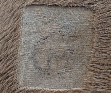 A shaved square with a very faint brand design in its center. Not all of the details are visible.