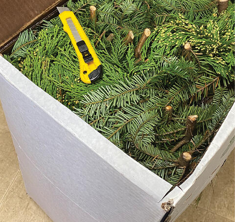 An open box of greenery with a box cutter laying on top.