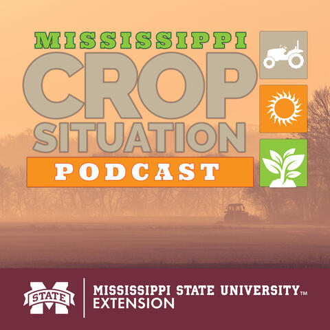 A logo that represents the Mississippi Crop Situation Podcast. The logo contains graphics that represent a tractor, the sun and a plant. 