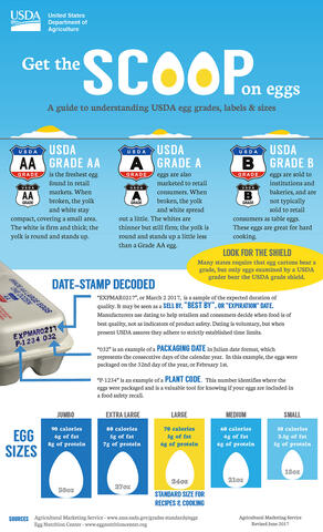 USDA graphic explains egg grades and sizes and what the carton labels mean. 