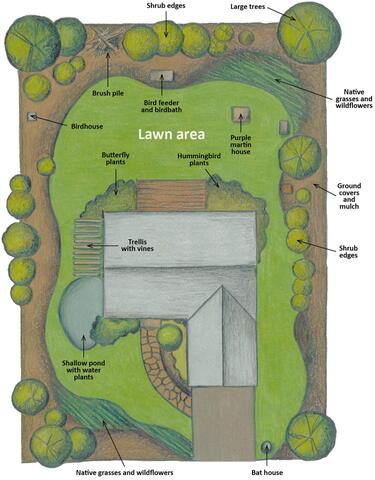 Aerial drawing of a house and surrounding lawn and plantings, including native grasses and wildflowers, shallow pond with water plants, shrub edges, ground covers and mulch, hummingbird and butterfly plants, bat house, bird house, purple martin house, bird feeder and bird bath, brush pile, and large trees.