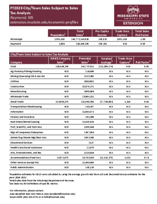 Preview of Raymond_city_retail_analysis