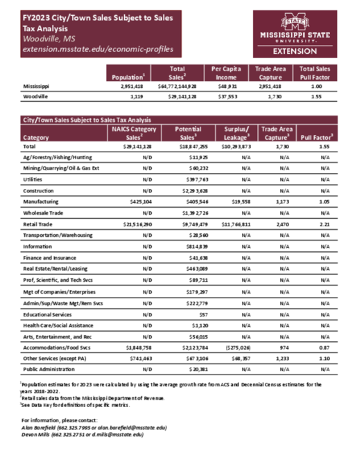 Preview of Woodville_city_retail_analysis