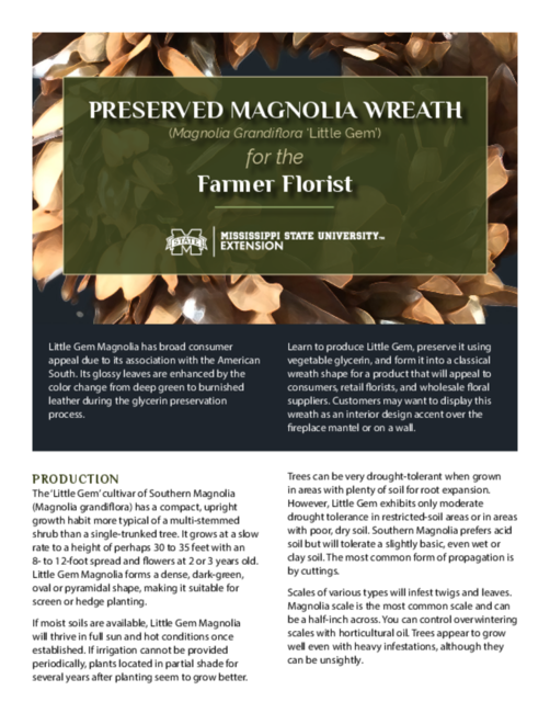 Preview of P3426_web.pdf