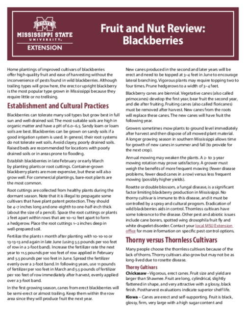 Preview of IS1444_web.pdf
