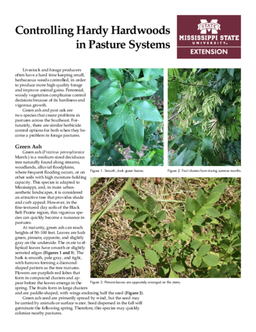 Preview of p3052
