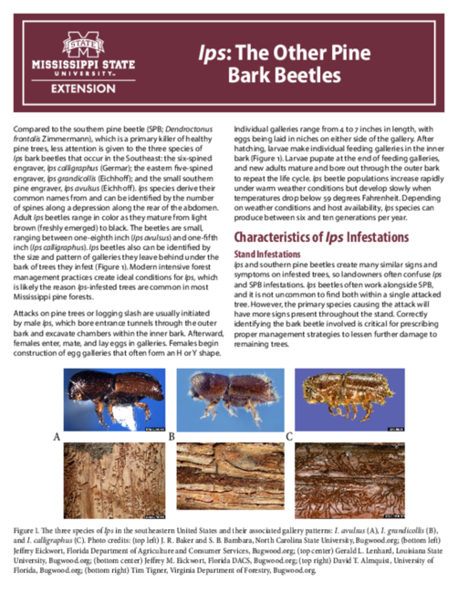 Preview of P2876_web.pdf