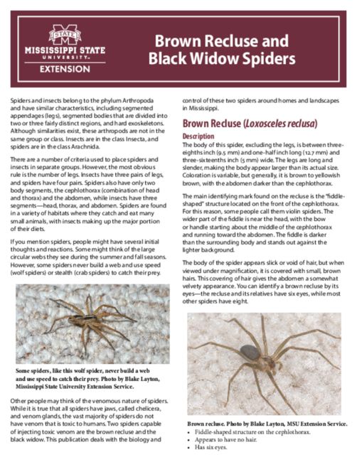 Preview of P2154_web.pdf