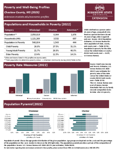 Preview of choctaw_poverty_profile
