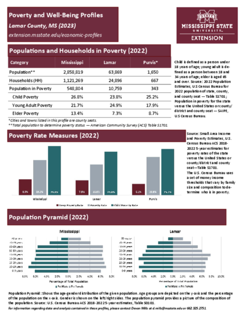 Preview of lamar_poverty_profile