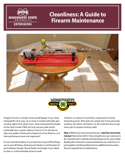 Preview of P2980_web.pdf