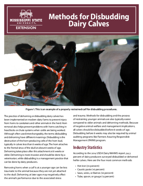Preview of P3835_web.pdf