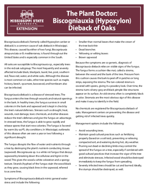 Preview of IS1798_web.pdf