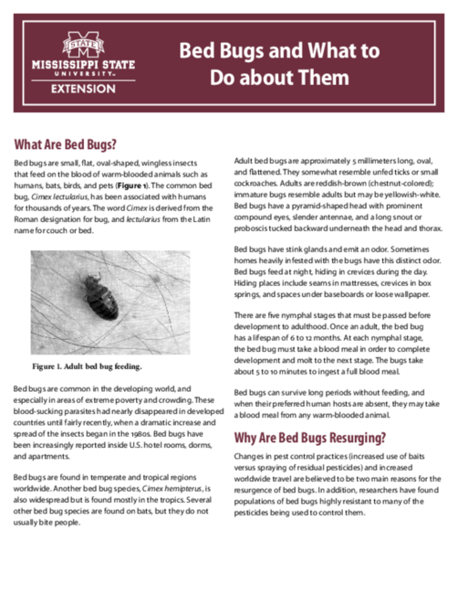 Preview of P2546_web.pdf