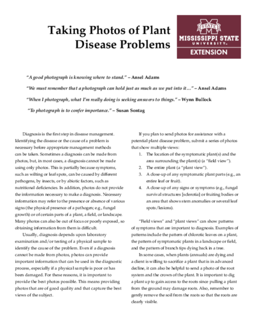 Preview of P3022_web
