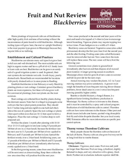 Preview of IS1444_web