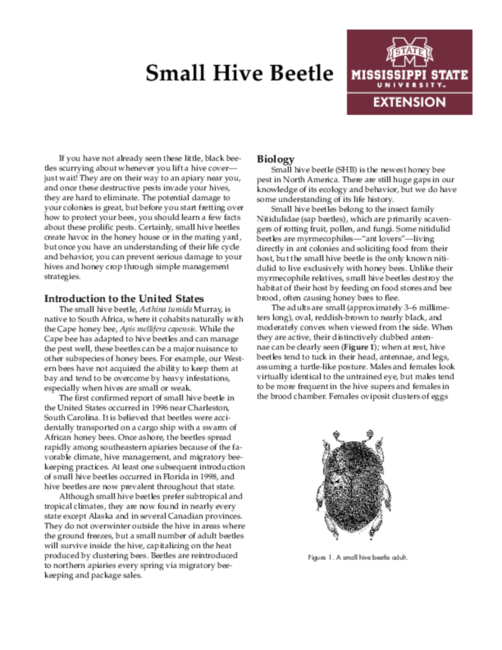 Preview of P2825_web