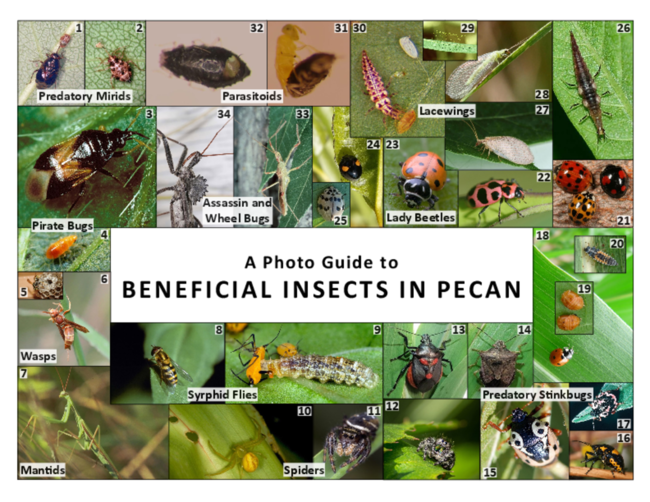 Preview of P4196_web.pdf