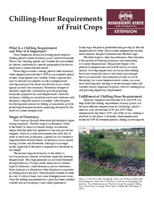 Preview of P3067