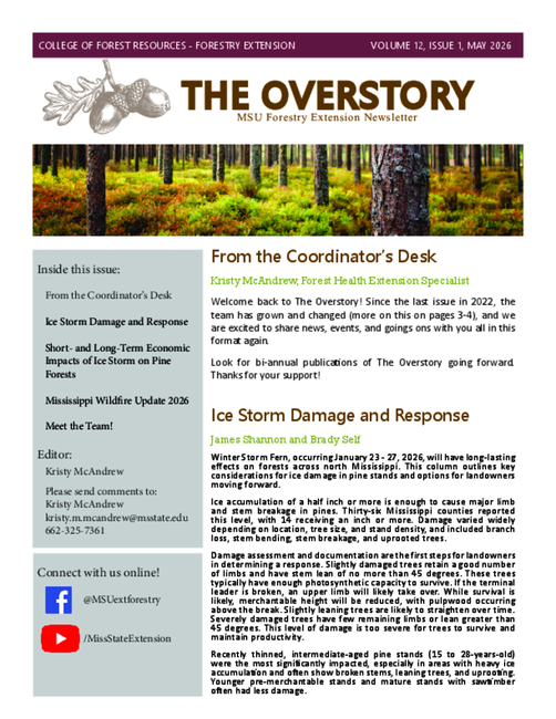 Preview of The Overstory - Volume 12, Issue 1 - May 2026