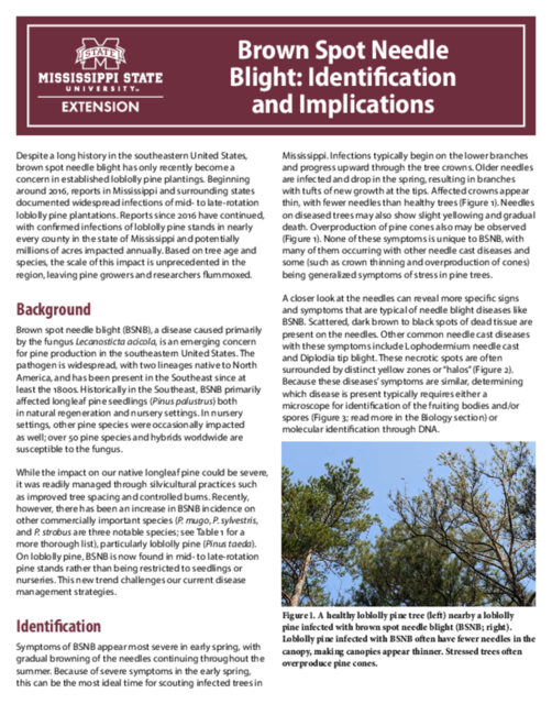 Preview of P4193_web.pdf